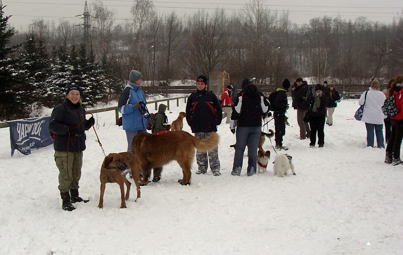 21. 2. 2009 pořádala ZKO Ostrava - Kunčice coursing