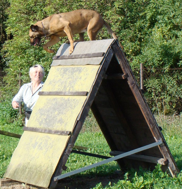 skok šplhem